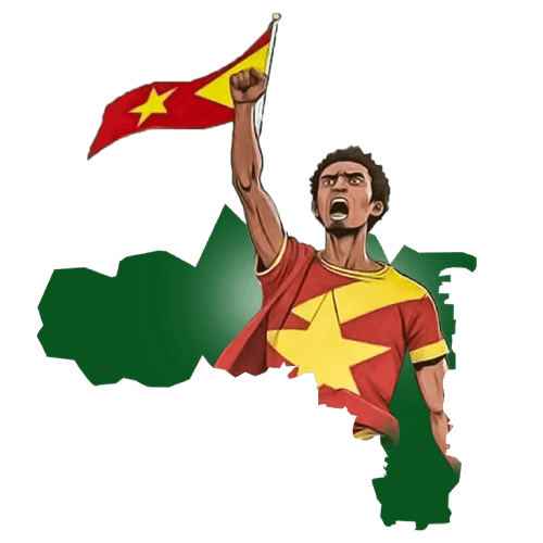 Voice for Independent Tigray Hero Image
